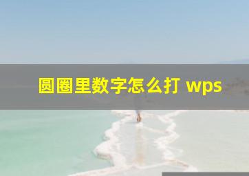 圆圈里数字怎么打 wps